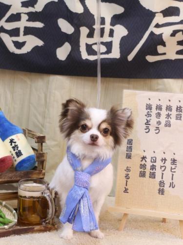 20240611トキくん